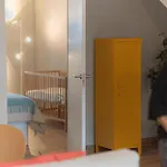 La Gaviota *