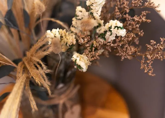 La Gaviota Hébergement de vacances