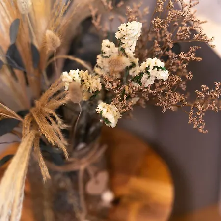 La Gaviota Hébergement de vacances